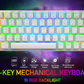 White 60% Mechanical Gaming Keyboard RGB